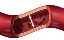 Vasomotricidade: Fatores que Alteram o Fluxo de Sangue
