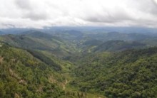 Campos do Jordão: Pousadas, Turismo, Dicas de Onde Ir, Fotos.