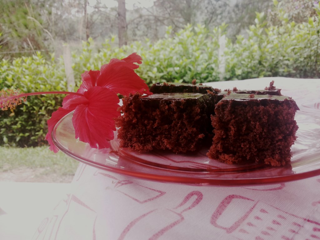 Bolo de Chocolate Macio com Cobertura – Receita Fácil