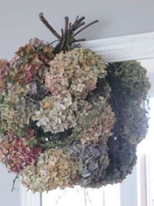 como-secar-hortêsias-em-casa-