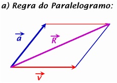 grandeza-e-vetores-resumo-de-física-1