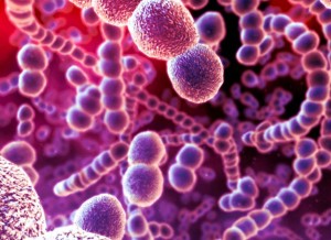 estudo-da-microbiologia-resumo-sobre-estrutura