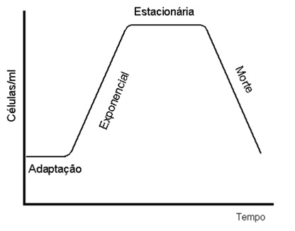 Fisiologia e Crescimento Bacteriano – Resumo