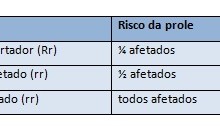 Herança Autossômica Recessiva: Padrão de Afetados, Heredograma e Doença
