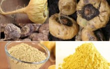 Maca Peruana Emagrece – Afrodisíaco Natural, Benefícios