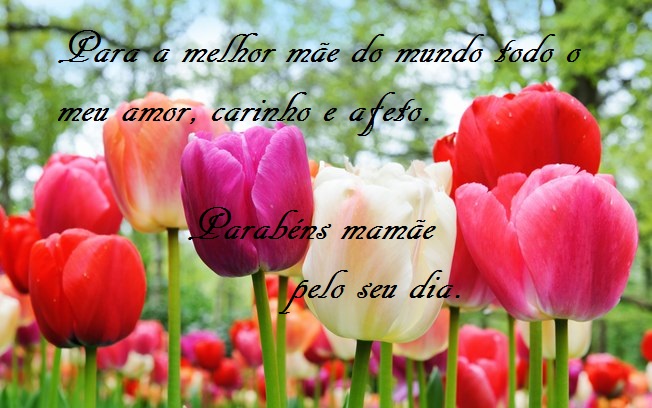 mensagem-para-dia-das-mães-cartão-tulipas
