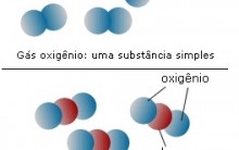 Amostra de Matéria – Substâncias Puras e Misturas