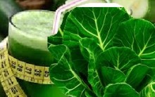 Suco Verde com Couve – Melhores Receitas Detox e Vitaminas