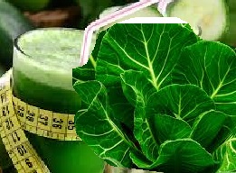 Suco Verde com Couve – Melhores Receitas Detox e Vitaminas
