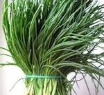 Agretti – Vegetal Usado na Culinária e Fabricação de Vidros