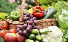 Dieta Contra Câncer – Dieta Saudável Ideal Anti Câncer