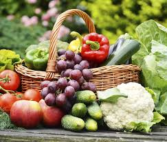 Dieta Contra Câncer – Dieta Saudável Ideal Anti Câncer