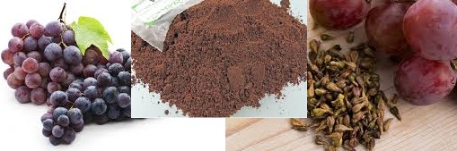 Farinha da Semente de Uva – Como Usar, Benefícios Dieta