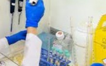 Vacina contra Dengue – Informações e Previsão de Uso