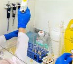 vaxina-contra-dengue-informações-e-avanços-2