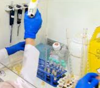 Vacina contra Dengue – Informações e Previsão de Uso