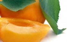 Damasco – Benefícios e Tipos de Vitaminas da Fruta