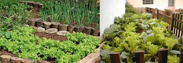 Como Fazer Horta em Casa – Horta Orgânica Caseira
