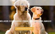 Site de Relacionamento para Animais – Tudo Sobre