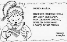 Remédios Caseiros contra Piolhos – Dicas de Cuidados