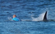 Tubarão Ataca Surfista Mick Fanning na África do Sul