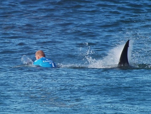 Tubarão Ataca Surfista Mick Fanning na África do Sul
