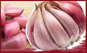 Vitaminas do Alho – Como Usar, Benefícios e Receitas