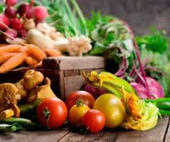 Alimentação para Menopausa Alimentos para Comer ou Evitar