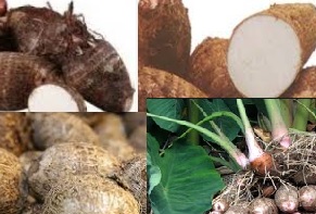 Inhame na Culinária- Molhos para Salada Saudáveis, Pão