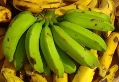 Como Fazer Biomassa de Banana Mais Você 28/10/15