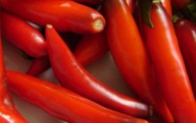 Alimentos Afrodisíacos – Melhoram o Desempenho Sexual