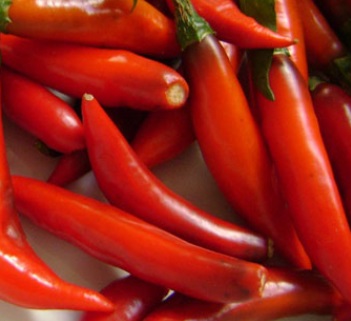 Alimentos Afrodisíacos – Melhoram o Desempenho Sexual