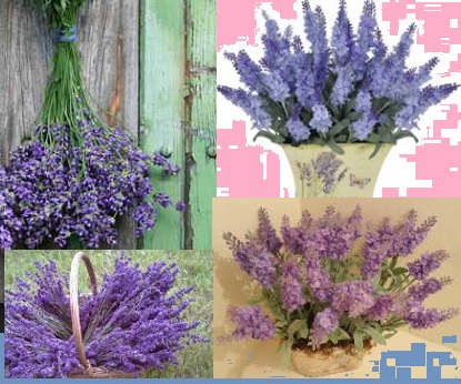 dicas-de-como-decorar-com-lavanda-alfazema-2