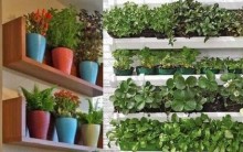 Horta em Apartamento – Dicas de Como Fazer e Cuidar