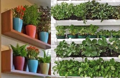 Horta em Apartamento – Dicas de Como Fazer e Cuidar