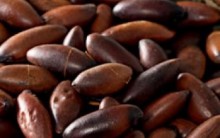 Receitas com Castanhas ou Semente de Baru e Vitaminas