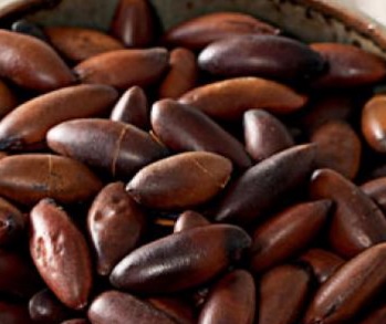 Receitas com Castanhas ou Semente de Baru e Vitaminas