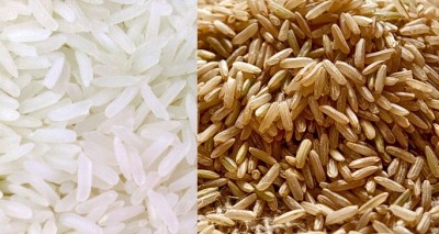 diferenças-arroz-branco-e-arroz-integral-vitaminas-