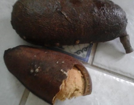Benefícios do Jatobá, Vitaminas, Foto da Fruta e Receitas