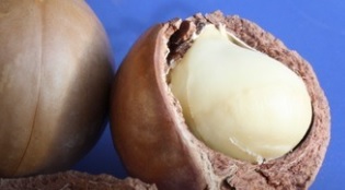 Macadâmia – O Que é, Benefícios e Vitaminas