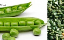 Benefícios da Ervilha Fresca e Seca – Vitaminas e Nutrientes