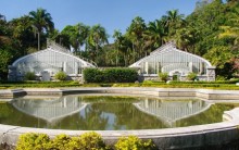 Jardim Botânico de São Paulo – Preço das Entradas, Endereço, Atrações e Fotos
