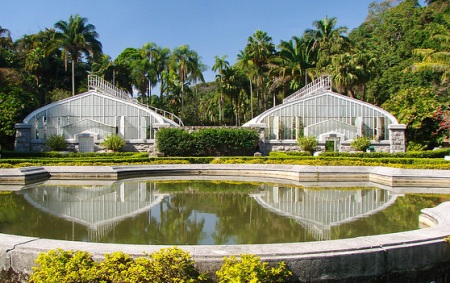 Jardim Botânico de São Paulo – Preço das Entradas, Endereço, Atrações e Fotos