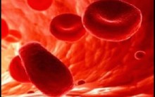 Alimentos Indicados e Proibidos em Caso de Hemorragia