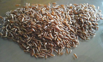 Arroz Vermelho – Nutrientes, Benefícios e Receita