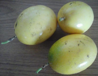 benefícios-do-maracujá-vitaminas-pectina