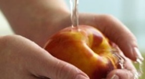 Intoxicação Alimentar – Causas, Cuidados e Dicas para Evitar