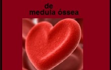 Como Ser Doador de Medula Óssea – Informações para Cadastro