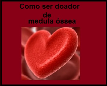 Como Ser Doador de Medula Óssea – Informações para Cadastro