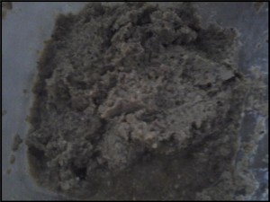 pasta-de-berinjela-receita-fácil